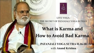 What is Karma and How to Avoid Bad Karma (Patanjali Yoga Sutra 2:16-18) | Anand Krishna